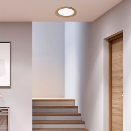 LED Inbouwspot WOODY SPOT LED/23,5W/230V 4000K walnoot Ø 23,5 cm