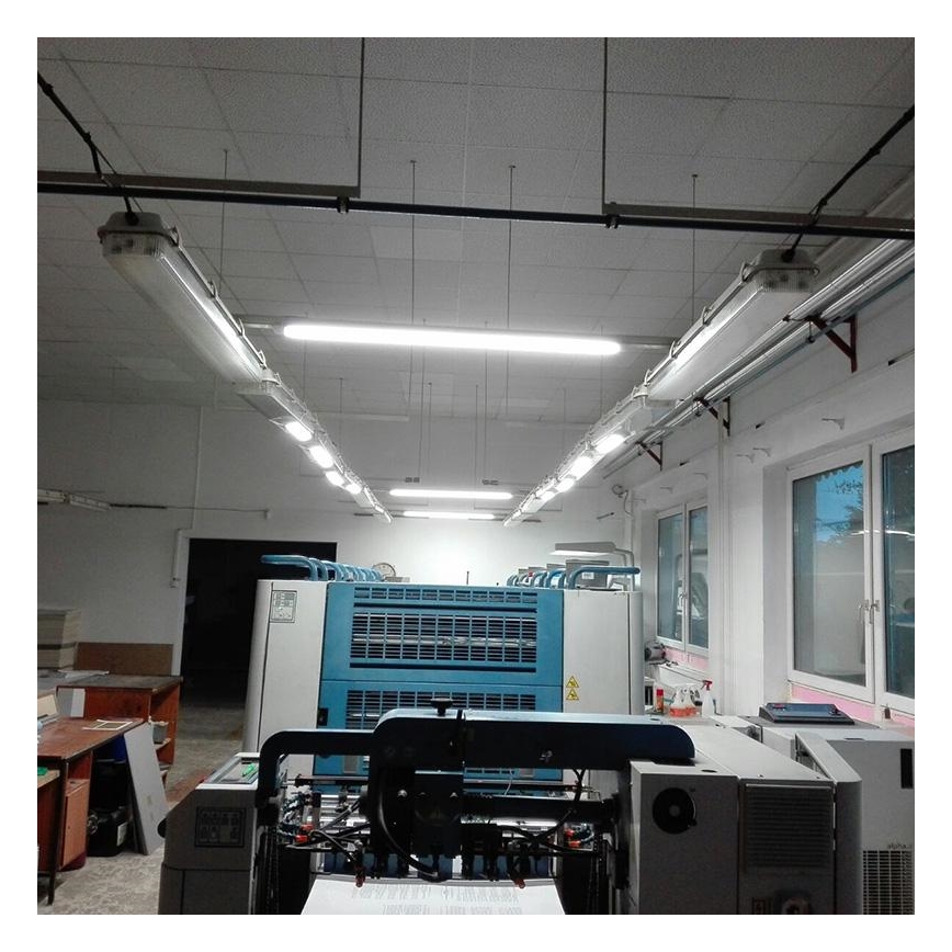 LED Industriële lamp LED/36W/230V IP40