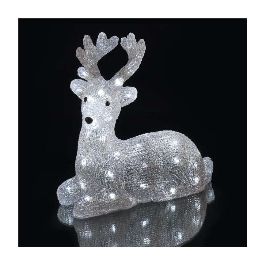 LED Kerst buitendecoratie 40xLED/2,1W/230V IP44 hert
