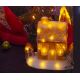 LED Kerst Decoratie LED/3xAA warm wit