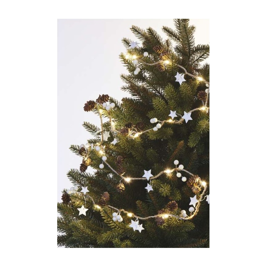 LED Kerst Lichtketting 20xLED/2m
