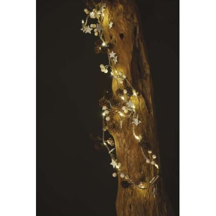 LED Kerst Lichtketting 20xLED/2m
