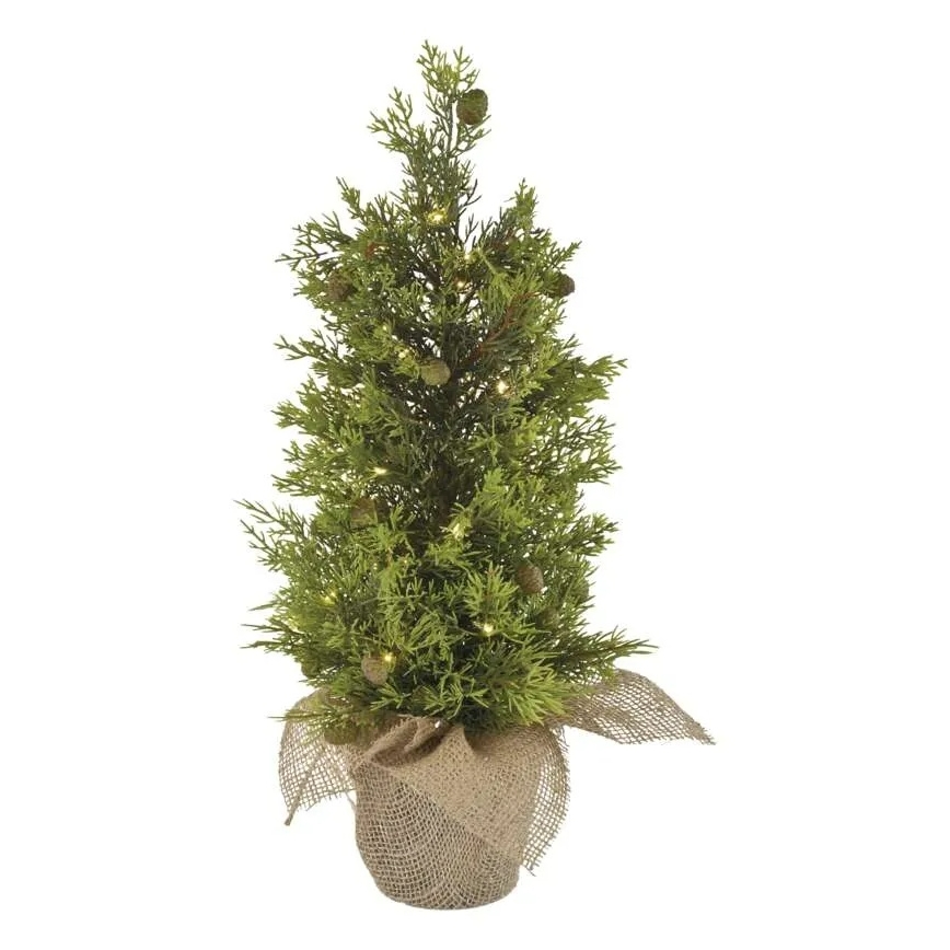 LED-kerstdecoratie 30xLED/3xAA IP44