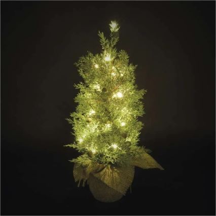 LED-kerstdecoratie 30xLED/3xAA IP44