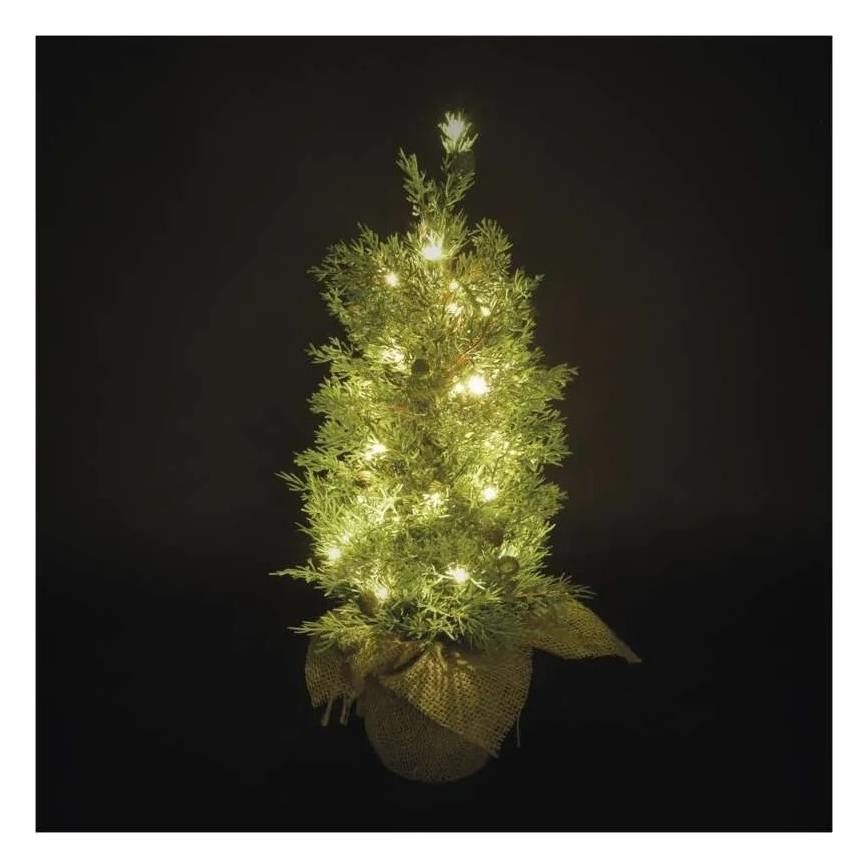 LED-kerstdecoratie 30xLED/3xAA IP44