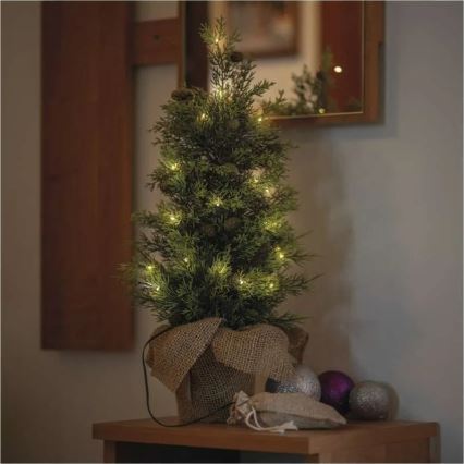 LED-kerstdecoratie 30xLED/3xAA IP44