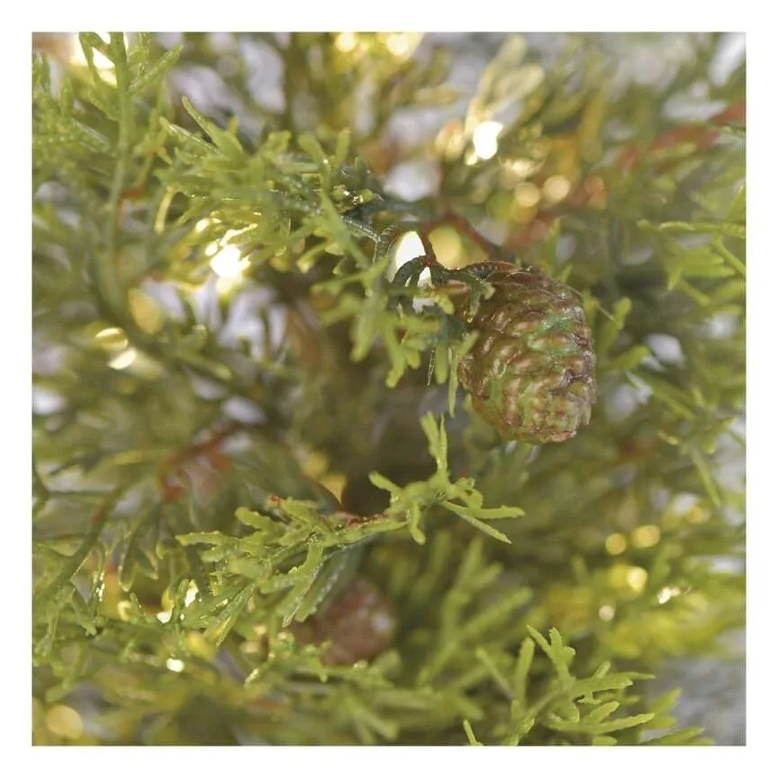 LED-kerstdecoratie 30xLED/3xAA IP44