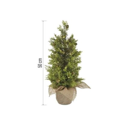 LED-kerstdecoratie 30xLED/3xAA IP44