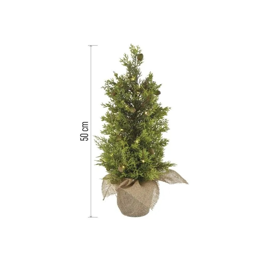 LED-kerstdecoratie 30xLED/3xAA IP44