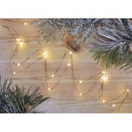 LED kerstlichtsnoer 20xLED/2,4m warm wit