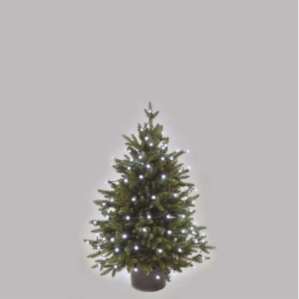 LED kerstlichtsnoer voor buiten 80xLED/13m IP44 koud wit