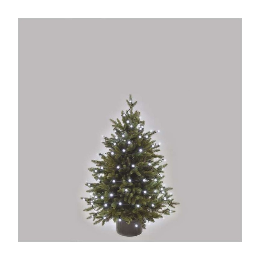 LED kerstlichtsnoer voor buiten 80xLED/13m IP44 koud wit