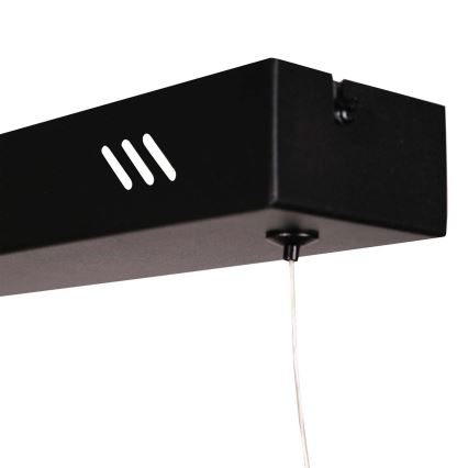 LED-kroonluchter aan kabel BERNADETTA LED/20W/230V 4000K zwart