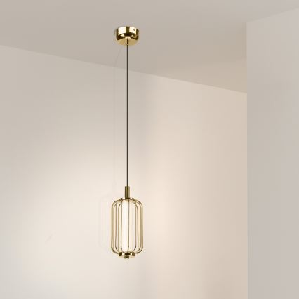 LED-kroonluchter aan kabel BONNIE LED/10W/230V 3000K goudkleurig