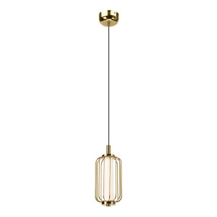 LED-kroonluchter aan kabel BONNIE LED/10W/230V 3000K goudkleurig
