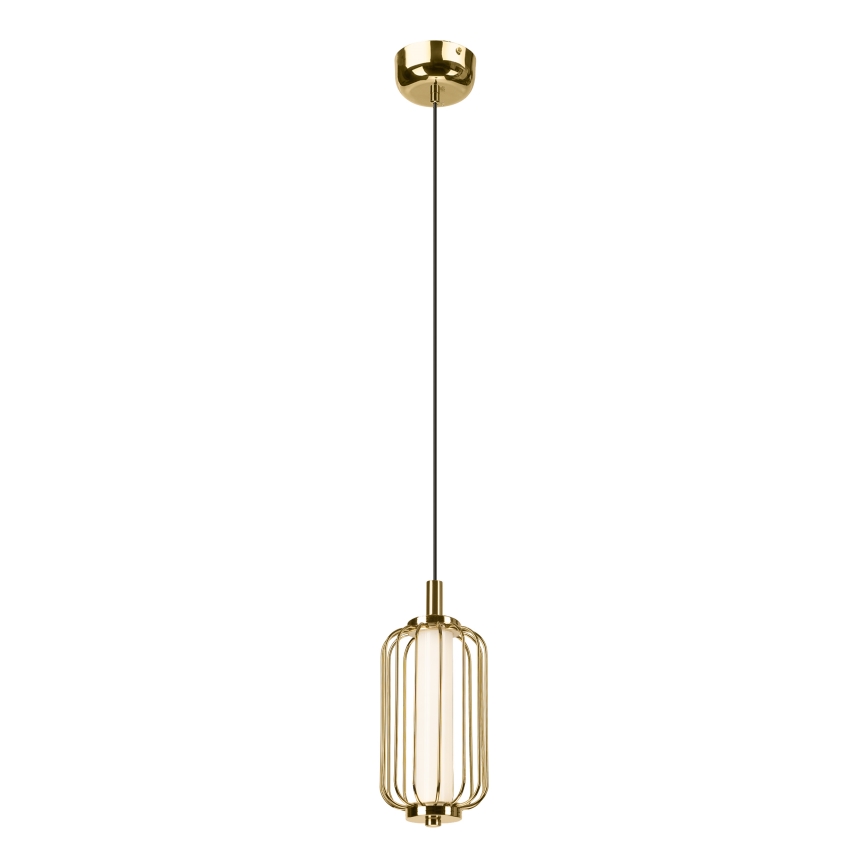 LED-kroonluchter aan kabel BONNIE LED/10W/230V 3000K goudkleurig