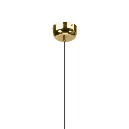 LED-kroonluchter aan kabel BONNIE LED/10W/230V 3000K goudkleurig