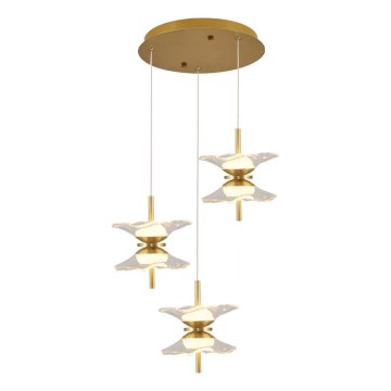 LED-kroonluchter met kabelophanging BUTTERFLY 6xLED/5W/230V 3000K goudkleurig