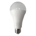 LED Lamp A65 E27/18W/230V 4200K