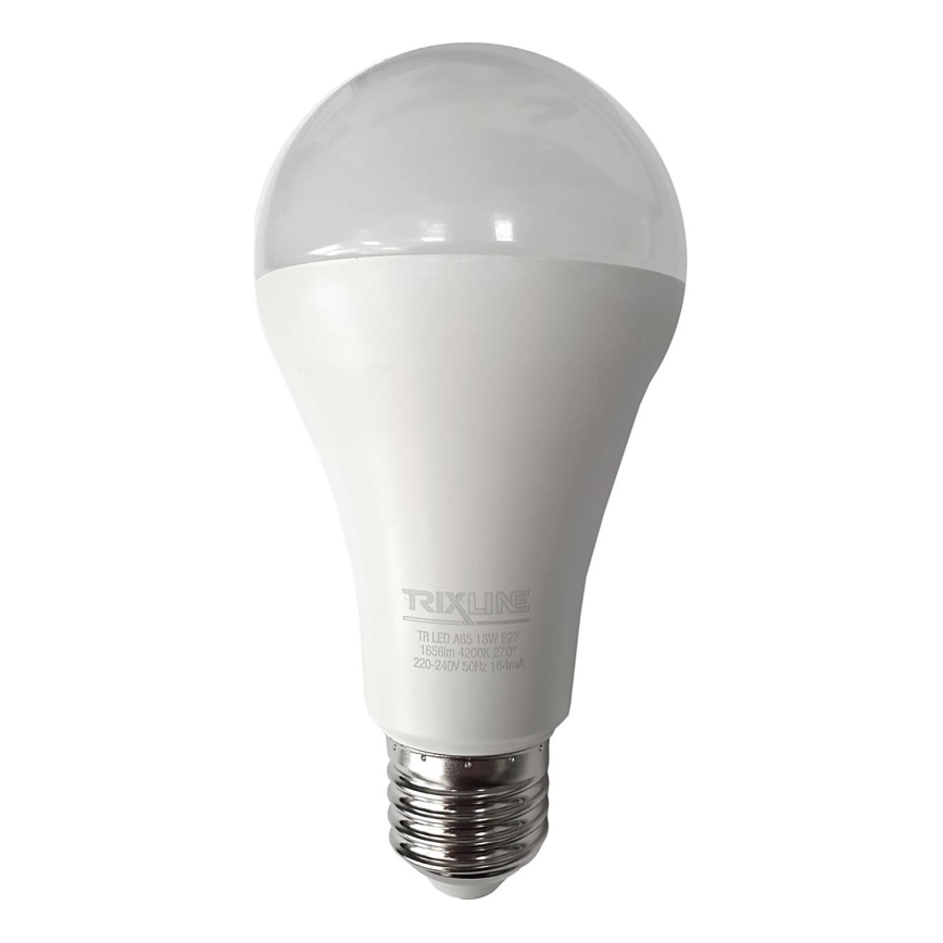LED Lamp A65 E27/18W/230V 4200K