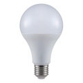 LED Lamp A80 E27/20W/230V 3000K