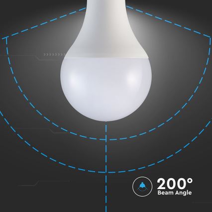 LED Lamp A80 E27/20W/230V 3000K