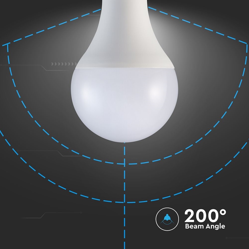 LED Lamp A80 E27/20W/230V 3000K