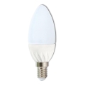 LED Lamp C37 E14/5W/230V 4100K