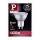 LED Lamp dimbaar GU10/7W/230V 4000K - Paulmann 28756