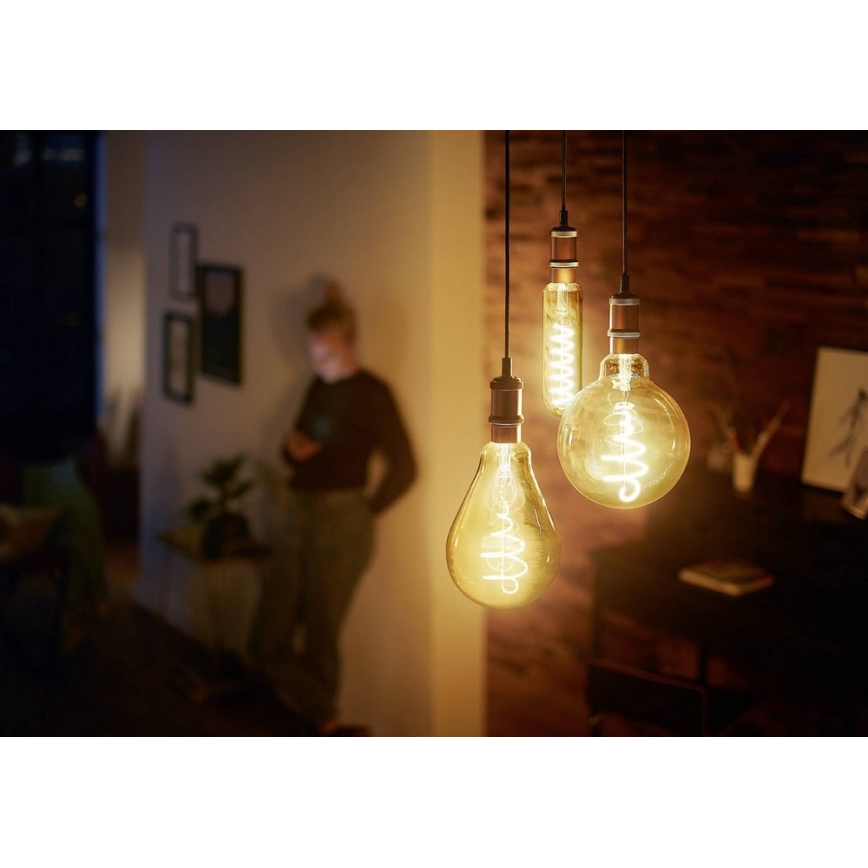 LED Lamp dimbaar VINTAGE Philips T65 E27/6,5W/230V