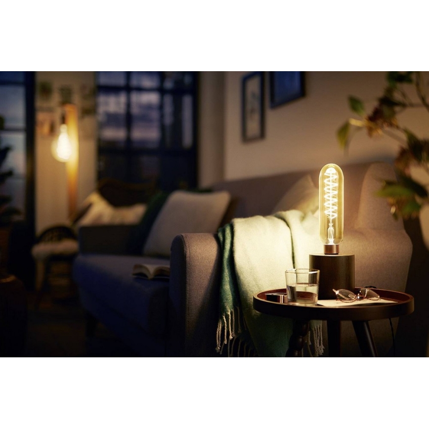 LED Lamp dimbaar VINTAGE Philips T65 E27/6,5W/230V