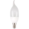 LED Lamp E14/4W/230V 4000K