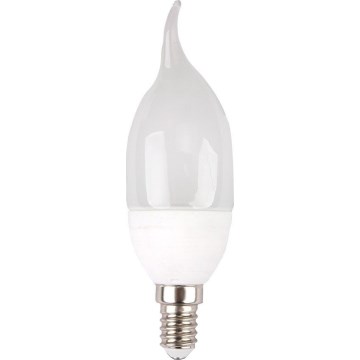 LED Lamp E14/4W/230V 4000K