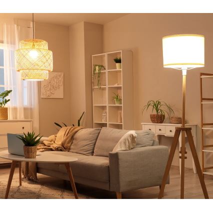 LED Lamp E27/8,5W/230V 3000K