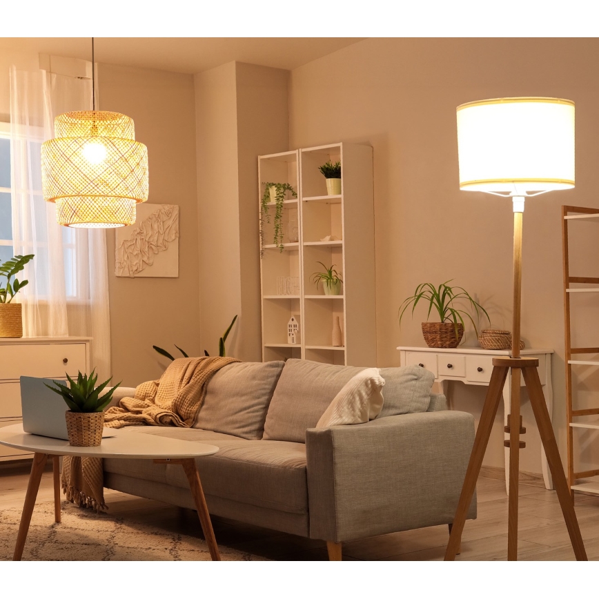 LED Lamp E27/8,5W/230V 3000K