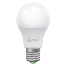 LED Lamp ECOLINE A60 E27/10W/230V 6500K - Brilagi