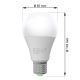LED Lamp ECOLINE A65 E27/15W/230V 4000K - Brilagi