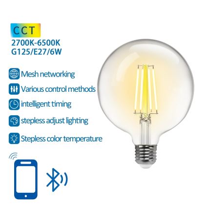 Dimbare LED Lamp FILAMENT MESH Smart G125 E27/6W/230V 2700-6500K - Aigostar