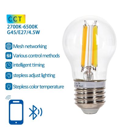 Dimbare LED Lamp FILAMENT MESH Smart G45 E27/4,5W/230V 2700-6500K - Aigostar