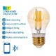 LED Lamp FILAMENT G45 E27/4,5W/230V 2700-6500K - Aigostar