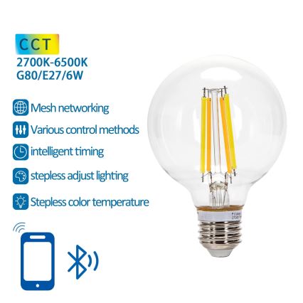 Dimbare LED Lamp FILAMENT MESH Smart G80 E27/6W/230V 2700-6500K - Aigostar