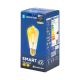 LED Lamp FILAMENT ST64 E27/6W/230V 2700-6500K - Aigostar