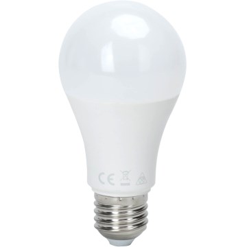 LED-lamp met schemersensor A60 E27/15W/230V 6500K - Aigostar