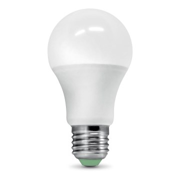 LED Lamp met schemersensor ​ ECOLINE A60 E27/9W/230V 3000K -  Brilagi
