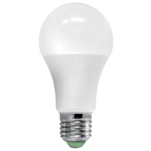 LED Lamp met sensor ECOLINE A60 E27/12W/230V 3000K -  Brilagi