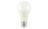LED Lamp PALLADIUM E27/12W/230V 2700K
