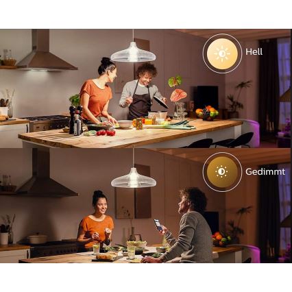 LED Lamp Philips Hue WHITE E67 E27/15,5W/230V