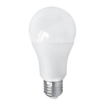 LED Lamp PITT A60 E27/15W/230V 4000K