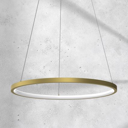 LED-kroonluchter aan kabel ROTONDA LED/27W/230V goud