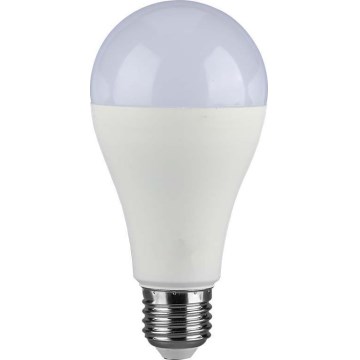 LED Lamp SAMSUNG CHIP A65 E27/17W/230V 6500K